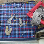 A leafy mat