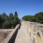 The castle walls