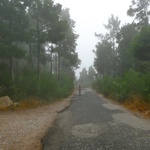 The bike ride through the forest was magical.