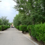 Very manicured campsite lanes