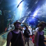 Aquarium