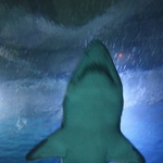 Aquarium - jaws 5 in the making