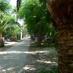 Pretty little campsite