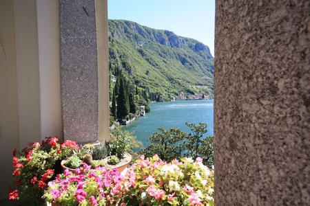 The view from a lovely garden