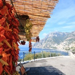 Chillies and coastal drive