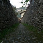 Another long walk