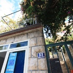 Above car rental (dog above)