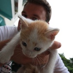 So cute!