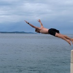 Followed by Si diving