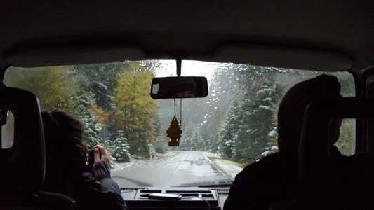 Snow in the black forest