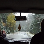 Snow in the black forest