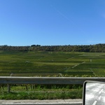 Very pretty vineyards on every hill