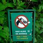 What animals?