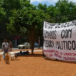 Dogs! everywhere