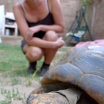 Gini makes friends with the local turtle