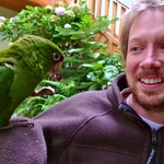 A friendly parrot at a hostel we visited