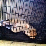 Another odd sleeping position