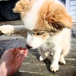 Gimme five!