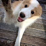 Shake!