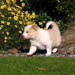 And venturing outside!