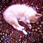 So cute when he's sleeping