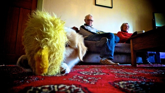 The grandparents come to visit.