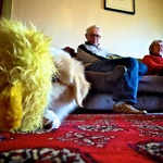 The grandparents come to visit.