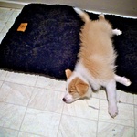 He has some very strange sleeping positions.