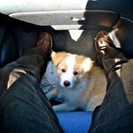 Another car ride!