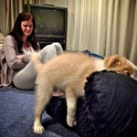 Humping his bed, 11 weeks old