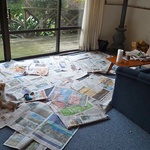 He couldn't possibly get the carpet now could het?