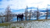 A beautiful view over Lake Hayes
