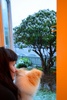 Snowing in Karori! Settling too! Too much to hope for a snow day tomorrow …