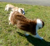 Fun in the sun with 4yr old Molly.