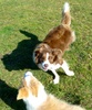 Fun in the sun with 4yr old Molly.