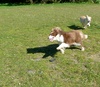 Fun in the sun with 4yr old Molly.