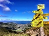 Today Tom took a wander up Makara Peak for the first time. Worth the slog!