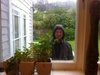 Kiwi style BBQ in the rain.