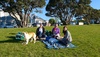 Pizza picnic dinner in the botanicals to soak up the last of a week of lovely sunshine.