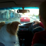 The boys up front