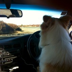 Lyon takes the wheel while Tom takes a quick pitstop on the desert road
