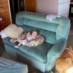 Just hanging on the couch