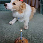 .. now blow out the candle ...