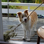 Outside with the stick!