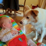 Olive and Lyon meet
