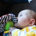 Olive gets a Lamaze toy 