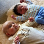 When Harry meets olive