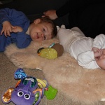 Ali get in on the sheepskin rug