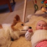 Lyon gets a bit closer to olive, only my head is on the rug can't get mad?
