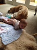 We have rolled over from back to front. She was happy under the gym one second and then the next smiling on her tummy!